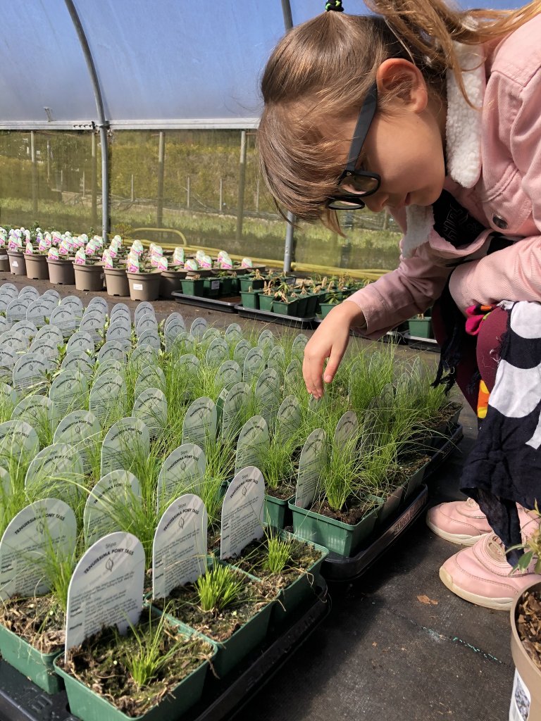 young girl inspecting plants