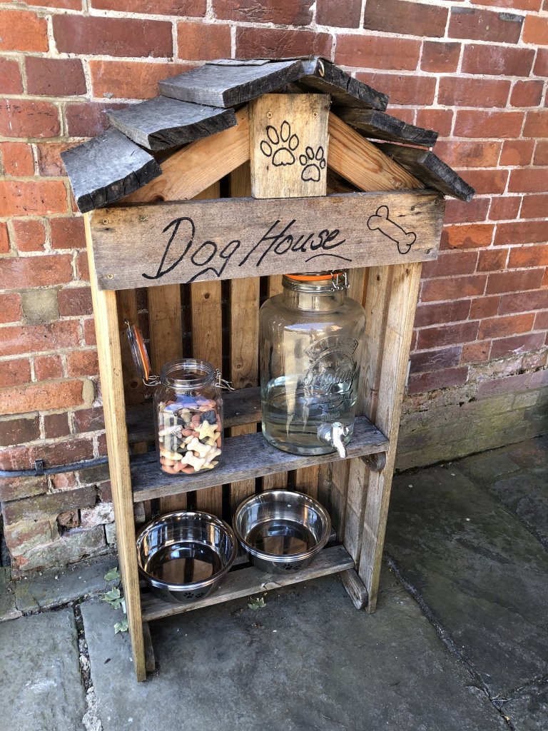 Dog-friendly corner with water and treats