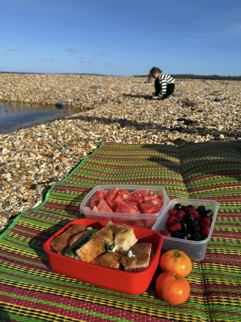 Milford on Sea picnic on the beach