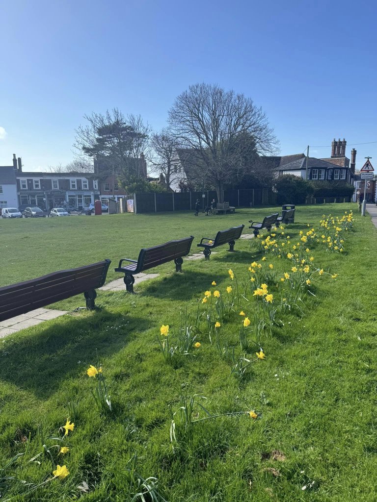 Benches in Milford on Sea