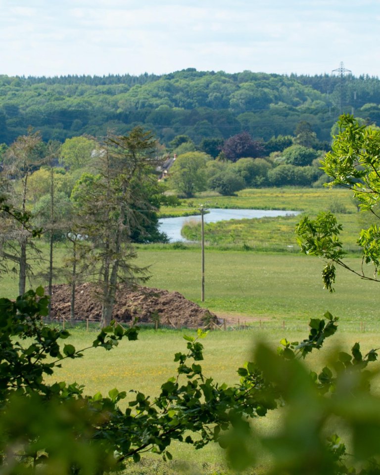 6 Special and family-friendly riverside walks in Hampshire
