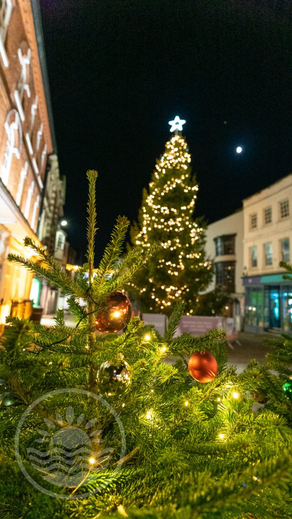 Christmas in Winchester - Large xmas tree