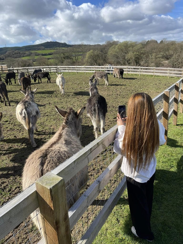girl taking photos of donkeys at the Isle of Wight donkey sanctuary