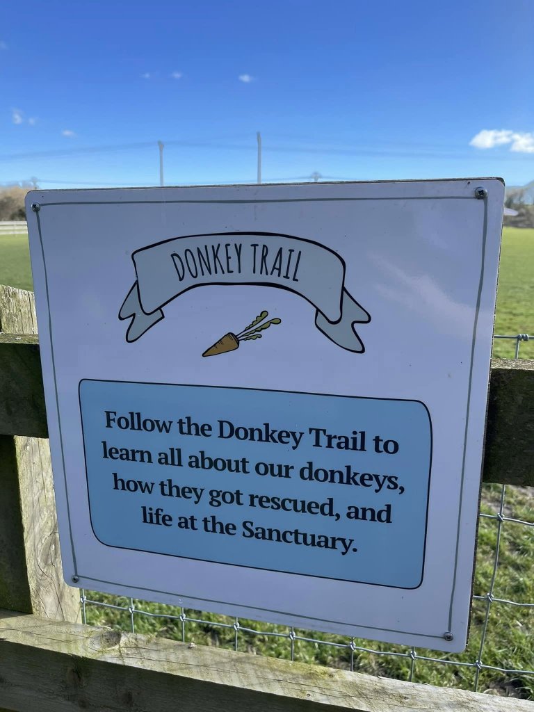donkey trail at the isle of wight donkey sanctuary