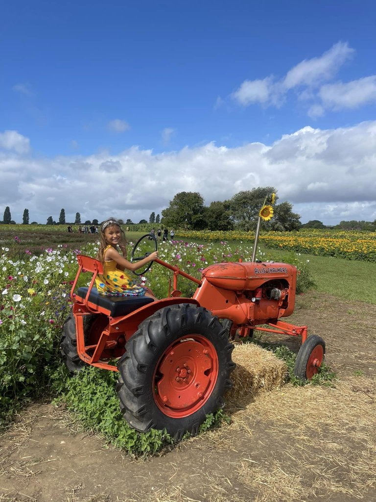 Girl on a small red tractor
