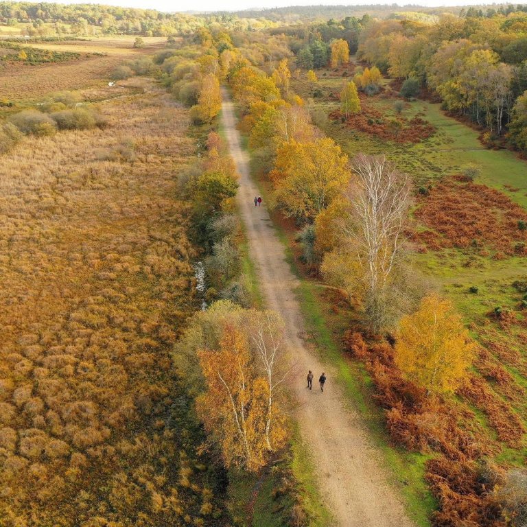 Best Autumn things to do in Hampshire