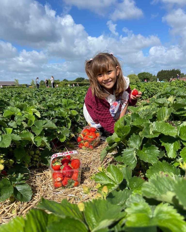 3 amazing strawberry pick-your-own spots in Hampshire