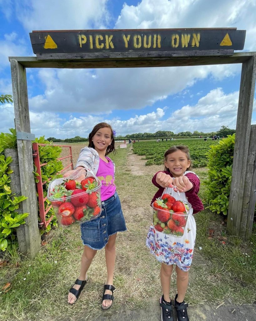 Pick-your-own pickwell farm