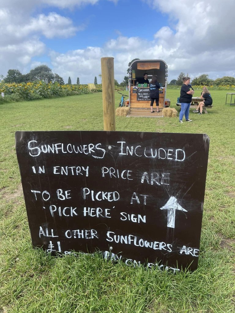 Sunflowers included in entry price
