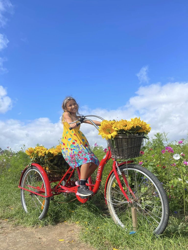 Riding a tricycle adorned with flowery baskets