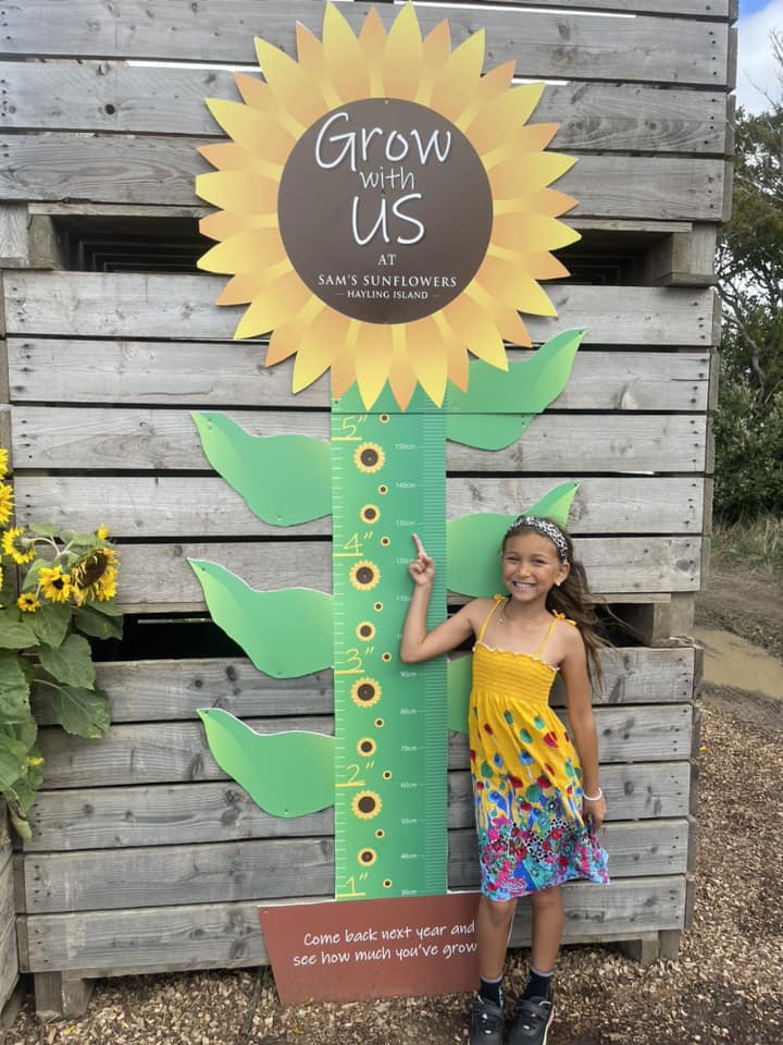 Are you as tall as a giant sunflower size chart