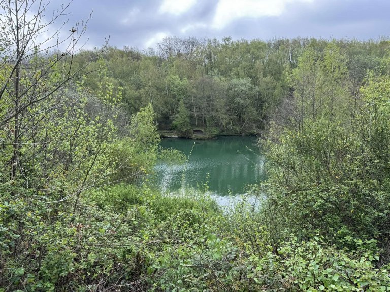 Swanwick Lakes is a beautiful oasis with woodland, lakes & meadows