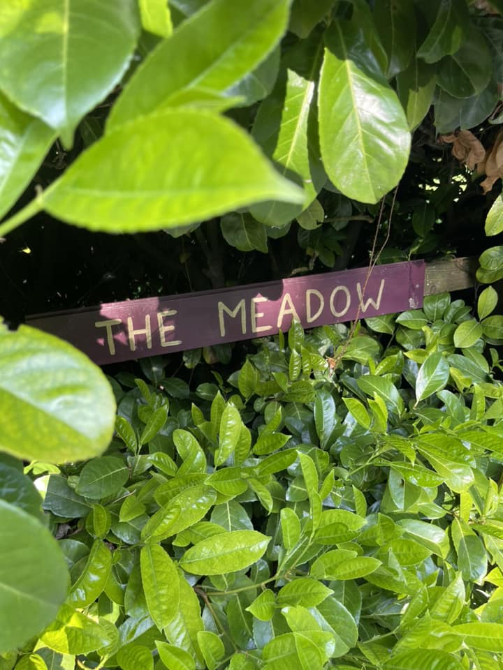Meadow sign hidden in plants