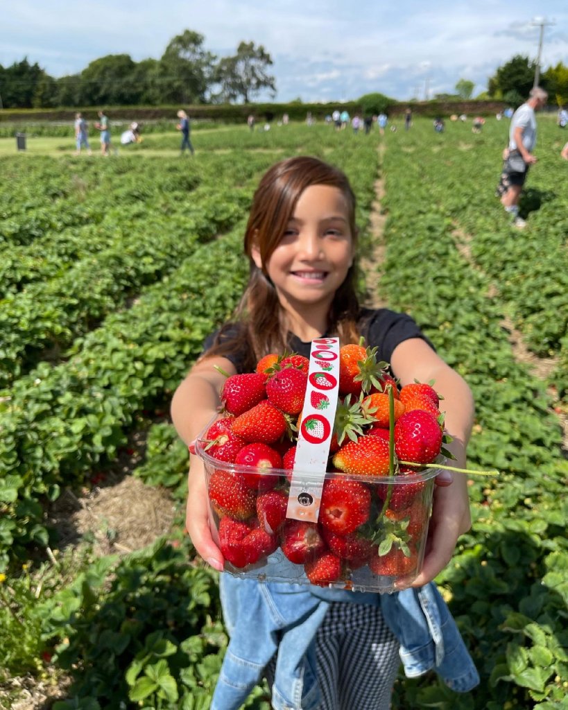 a girl holding a basket of strawberries