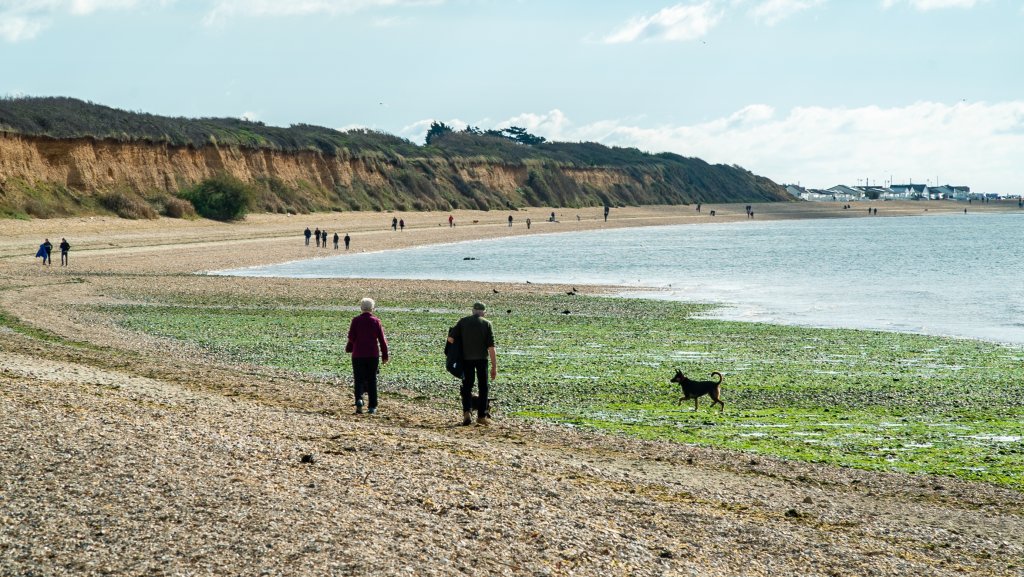 two people and a dog walking along the pebble beach