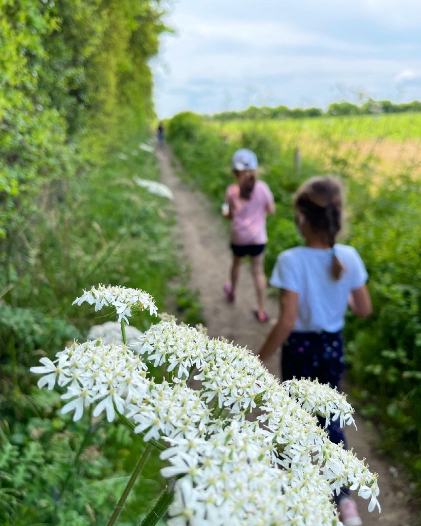 two girls walking down a path near fields